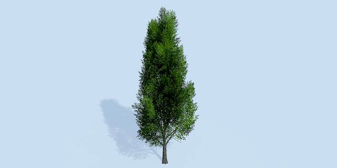 Lowpoly 3Dmodel tree VR AR game 3LOD number6