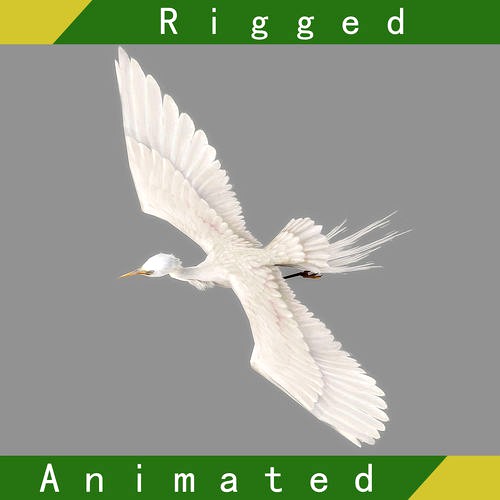 Egret Rigged Animated