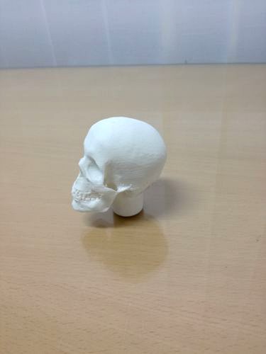 gear lever skull