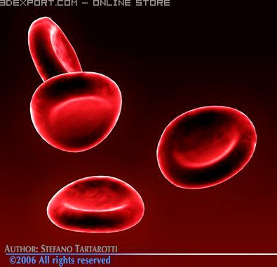 Red blood cells 3D Model