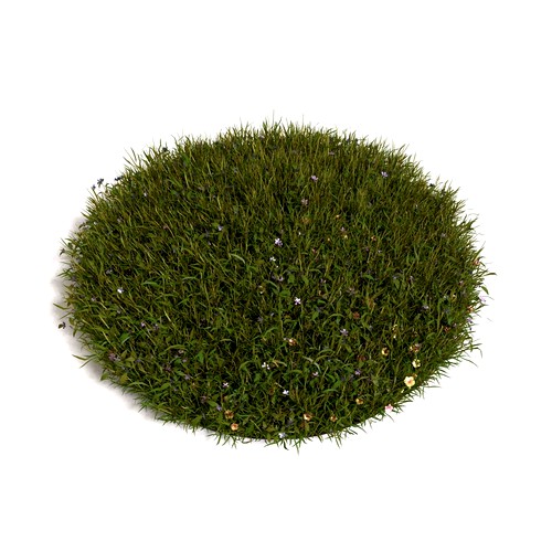 Grass