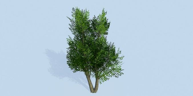 Lowpoly 3Dmodel tree VR AR game 3LOD number18