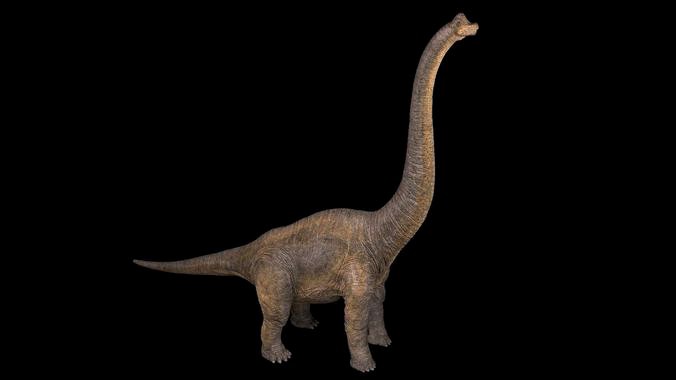 Brachiosaurus