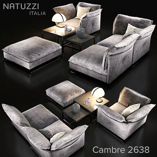 Sofa natuzzi cambre