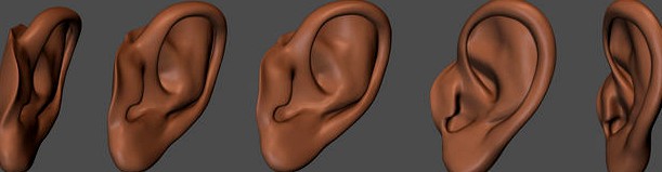 Human ear