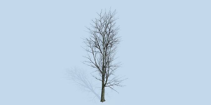 Lowpoly 3Dmodel tree VR AR game 3LOD number33