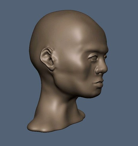 Head - Miscellaneous