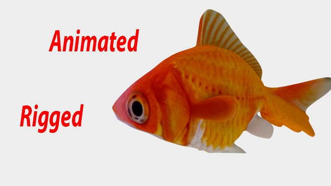 Animated And Rigged Goldfish