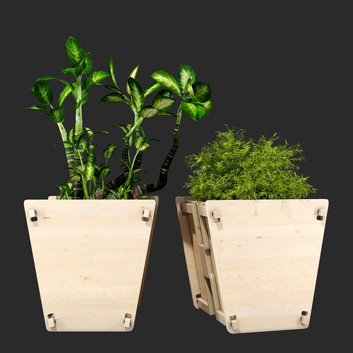 Vee planter