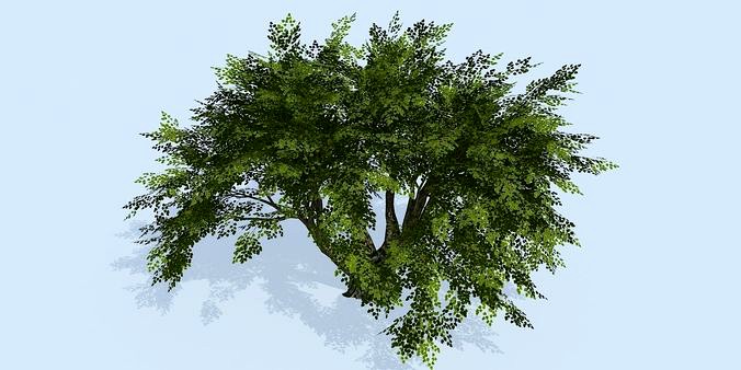 Lowpoly 3Dmodel tree VR AR game 3LOD number41