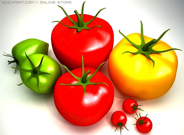 Download free Tomato 3D Model