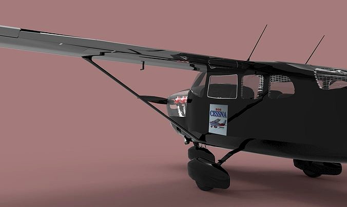 Cessna 206