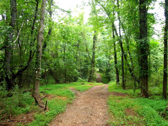 Mount Airy Nature Reference Pack