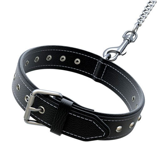 Dog Collar