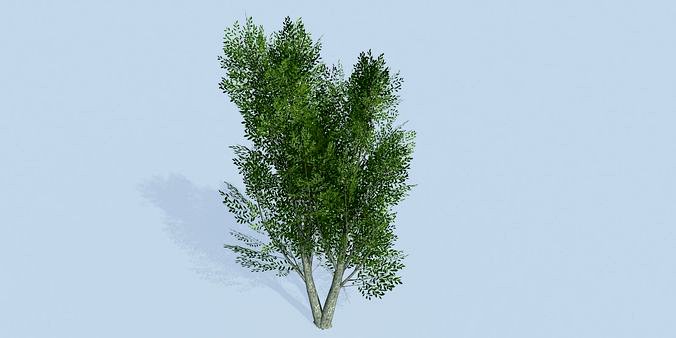 Lowpoly 3Dmodel tree VR AR game 3LOD number19