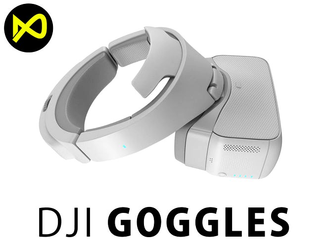 DJI Goggles FPV Headset