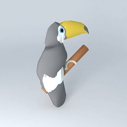 Toucan (Ramphastos toco