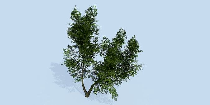 Lowpoly 3Dmodel tree VR AR game 3LOD number44