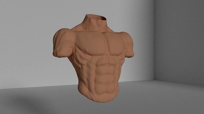 Bulk Torso