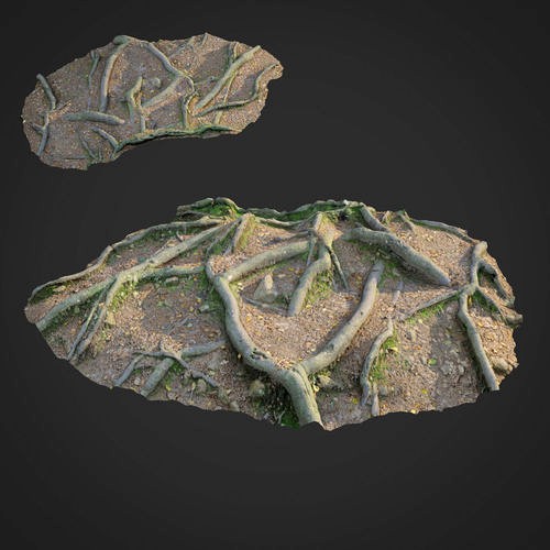 3d scanned nature forest roots 010