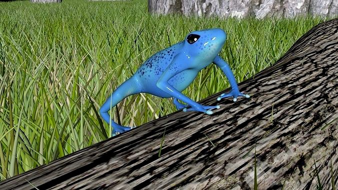 Forrest Frog