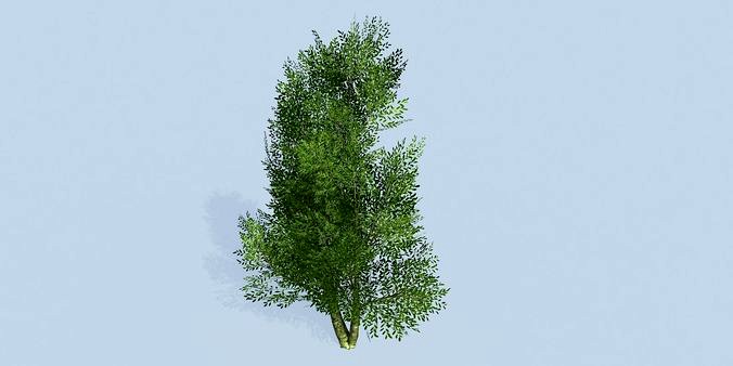 Lowpoly 3Dmodel tree VR AR game 3LOD number22