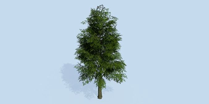 Lowpoly 3Dmodel tree VR AR game 3LOD number52