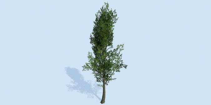 Lowpoly 3Dmodel tree VR AR game 3LOD number62