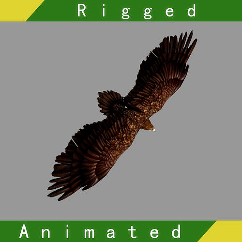 Eagle Rigged Animated