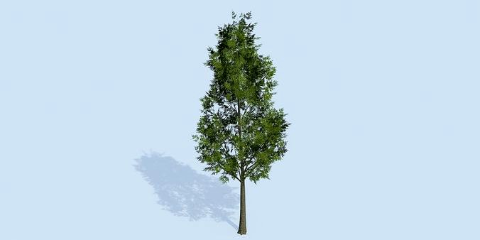 Lowpoly 3Dmodel tree VR AR game 3LOD number40