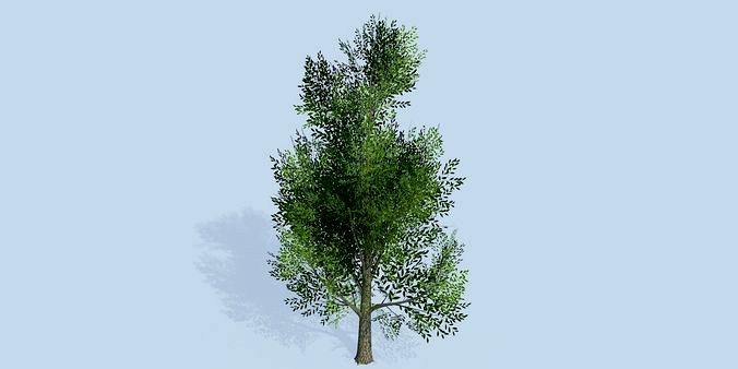 Lowpoly 3Dmodel tree VR AR game 3LOD number11