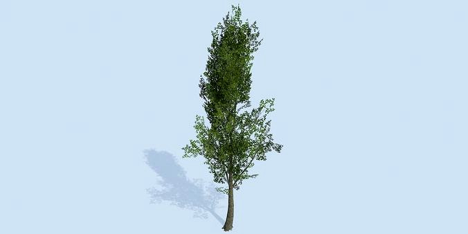Lowpoly 3Dmodel tree VR AR game 3LOD number62-71