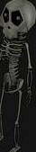 Cartoon Skeleton