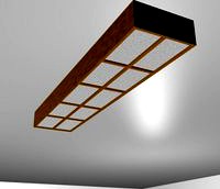 Ceiling Light