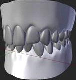 Human Teeth