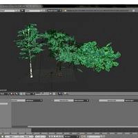 Animated Low Poly trees