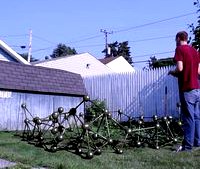 Fence