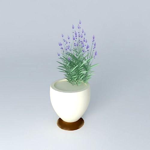 Cup with Lavender