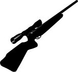 airgun