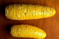 Corn (Maize)