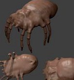 Dustmite