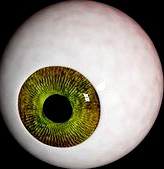 Semi-realistic eye