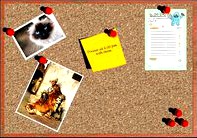 Presentation Cork Board