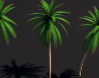 Palm Tree  Cycles Ready