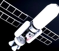 Satelite
