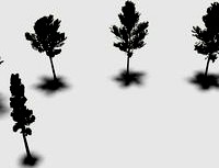 Trees