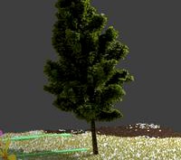 Animated Tree
