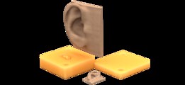 Mold for an Ear | TRINOTA