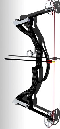 Rob Carbon Compound Bow