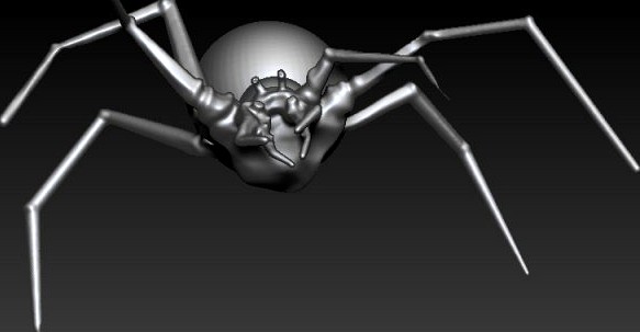 Spider 3D Model